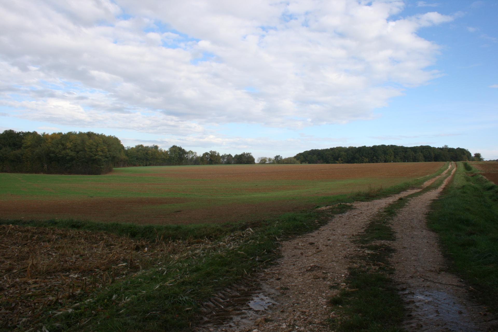 chemin foncier