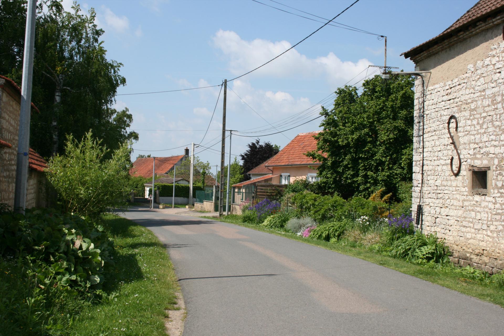 rue des vendanges