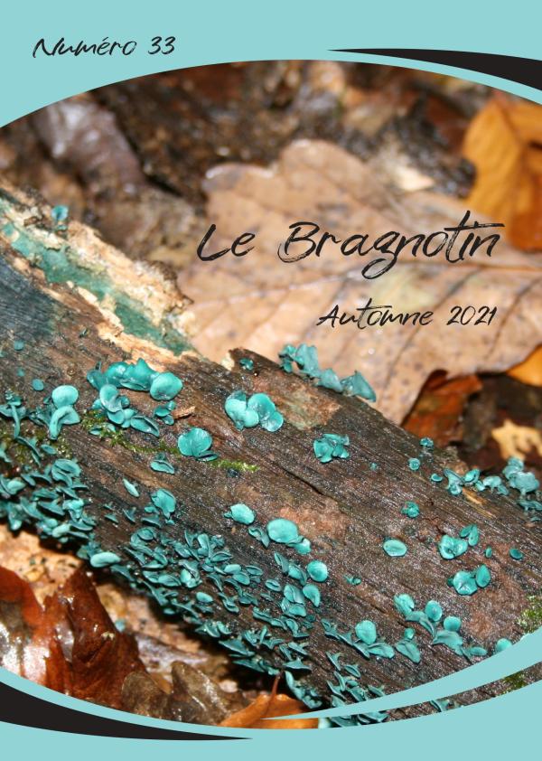 Le Bragnotin